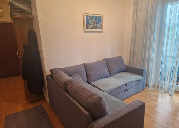 Alen Apartament *